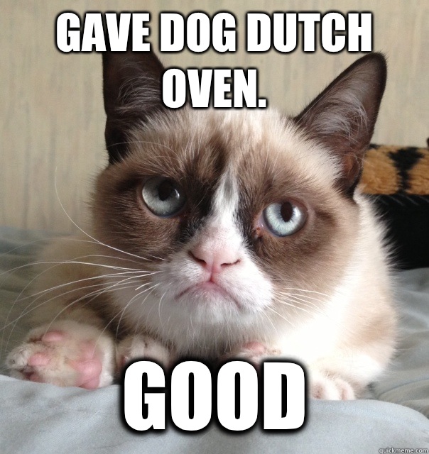 Gave dog Dutch oven.  good - Gave dog Dutch oven.  good  Australia Day Grumpy Cat