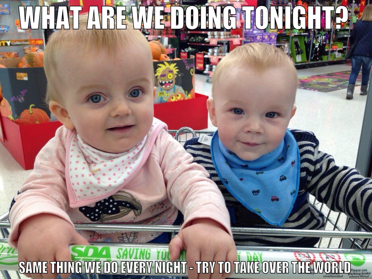 WHAT ARE WE DOING TONIGHT? SAME THING WE DO EVERY NIGHT - TRY TO TAKE OVER THE WORLD Misc