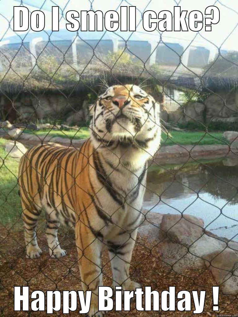 B-Day Bengal - DO I SMELL CAKE? HAPPY BIRTHDAY ! Misc