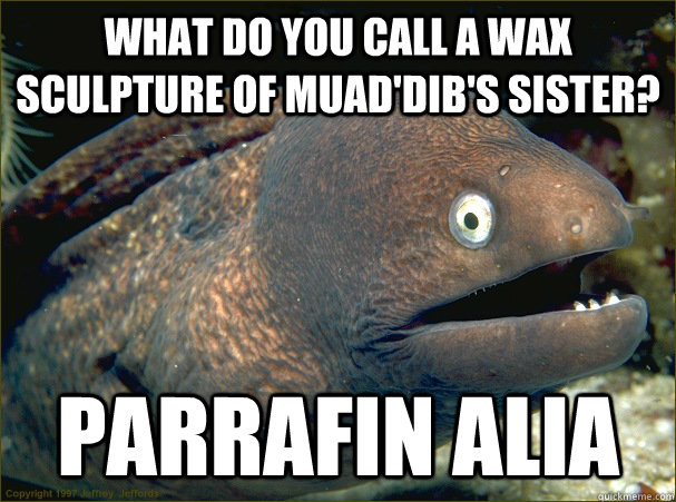what do you call a wax sculpture of muad'dib's sister? parrafin alia  Bad Joke Eel