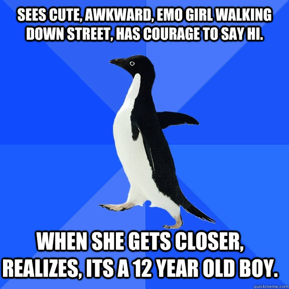 Sees cute, awkward, emo Girl walking down street, has courage to say hi. When she gets closer, realizes, its a 12 year old boy.    Socially Awkward Penguin