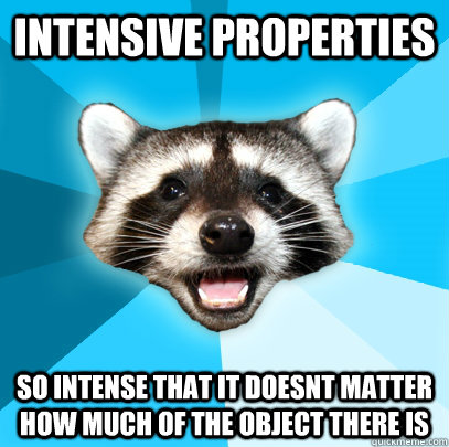 INTENSIVE PROPERTIES SO INTENSE THAT IT DOESNT MATTER HOW MUCH OF THE OBJECT THERE IS  Lame Pun Coon