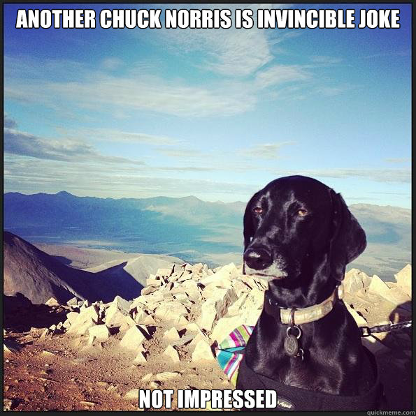 another Chuck Norris is invincible joke not impressed  