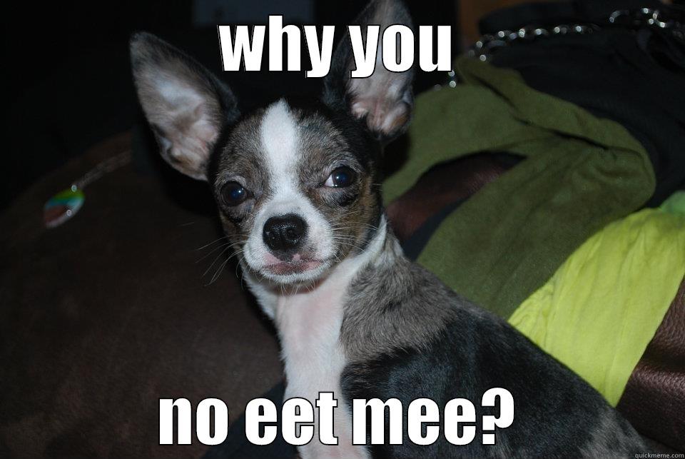 WHY YOU NO EET MEE? Misc