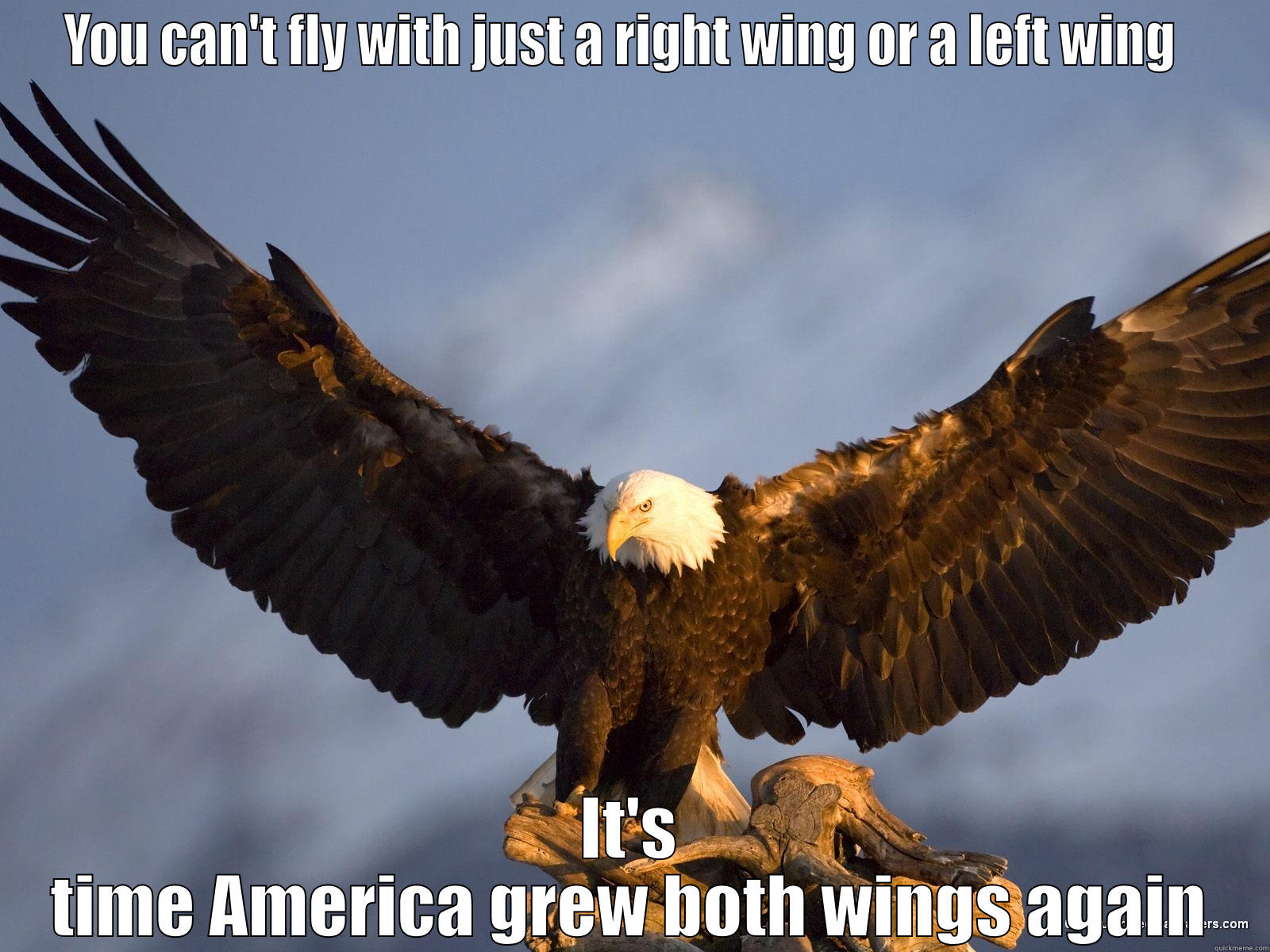 YOU CAN'T FLY WITH JUST A RIGHT WING OR A LEFT WING   IT'S TIME AMERICA GREW BOTH WINGS AGAIN Misc