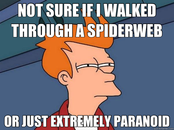 NOT SURE IF I WALKED THROUGH A SPIDERWEB OR JUST EXTREMELY PARANOID  Futurama Fry