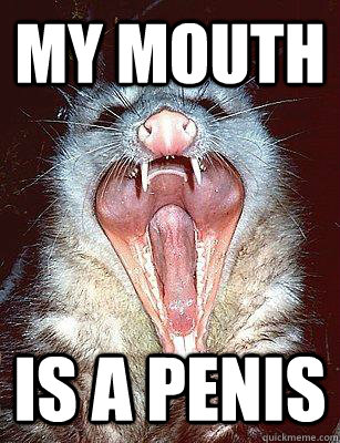 My mouth is a penis - My mouth is a penis  The Angry Possum