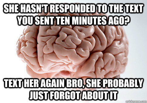 SHE HASN'T RESPONDED TO THE TEXT YOU SENT TEN MINUTES AGO? TEXT HER AGAIN BRO, SHE PROBABLY JUST FORGOT ABOUT IT   Scumbag Brain