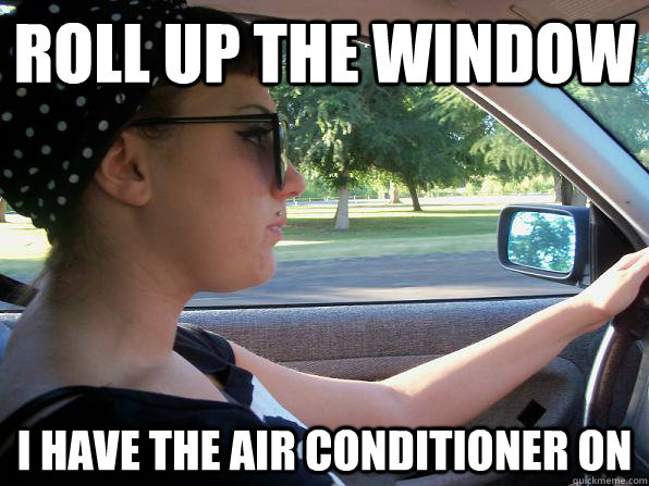 Roll up the window I have the air conditioner on - Roll up the window I have the air conditioner on  Anal Retentive Driver