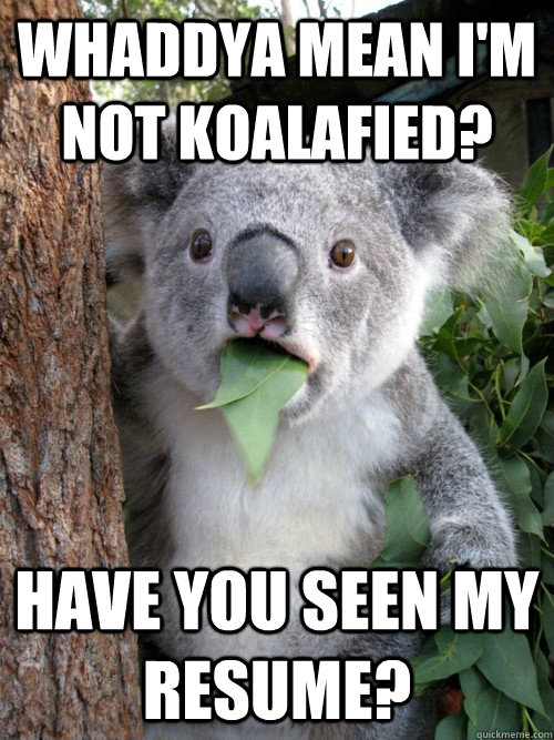 Whaddya mean I'm not koalafied? have you seen my resume?  koala bear