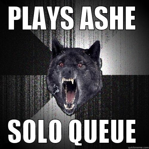 PLAYS ASHE SOLO QUEUE Insanity Wolf