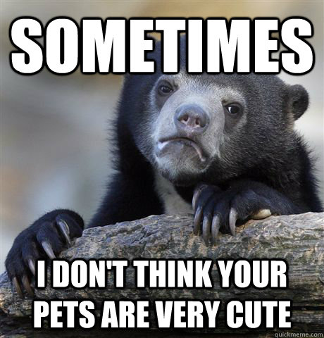 sometimes i don't think your pets are very cute  Confession Bear
