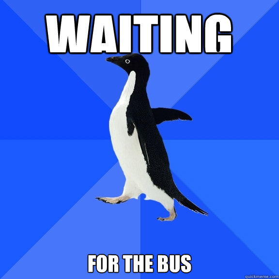 Waiting For the bus  Socially Awkward Penguin