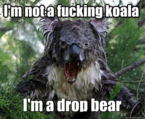 I'm not a fucking koala I'm a drop bear  Angry Koala