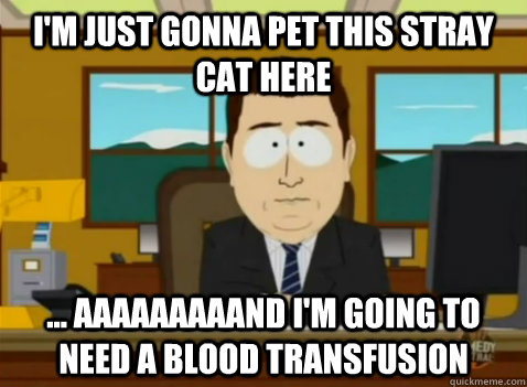 I'm just gonna pet this stray cat here ... aaaaaaaaand i'm going to need a blood transfusion  South Park Banker