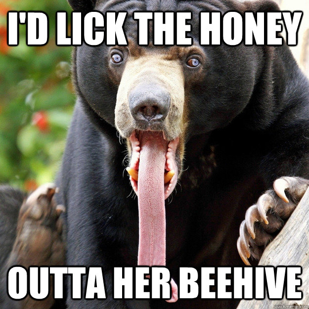 I'd lick the honey outta her beehive - I'd lick the honey outta her beehive  The One With The Black Bear With The Really Long Tongue