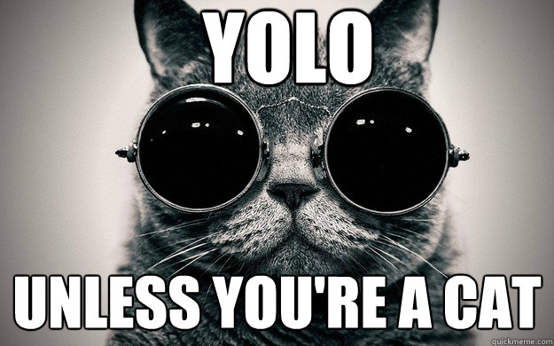 YOLO UNLESS YOU'RE A CAT  Morpheus Cat Facts