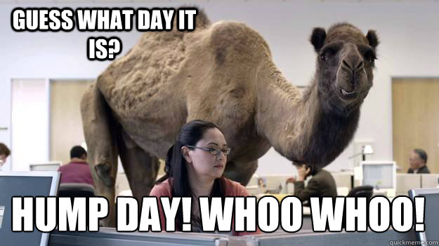 Guess what day it is? HUMP DAY! WHOO WHOO! - Guess what day it is? HUMP DAY! WHOO WHOO!  Hump Day Camel