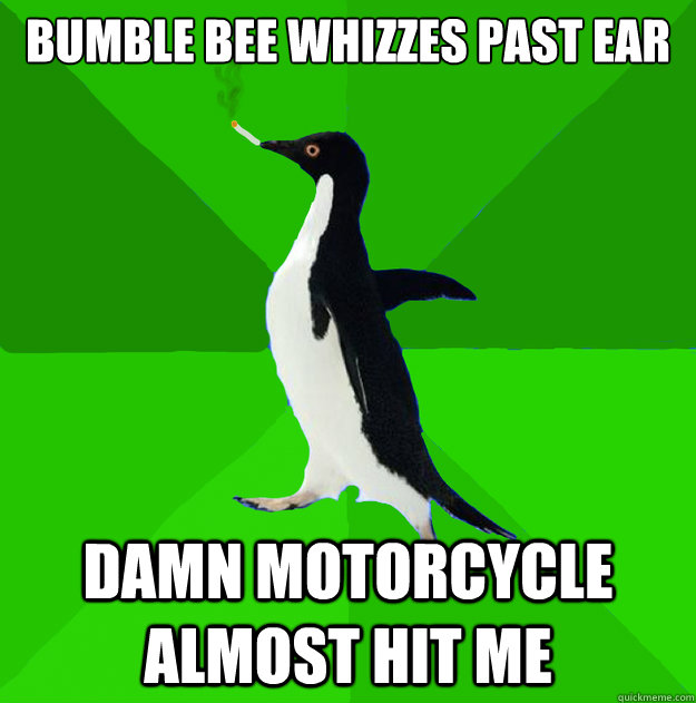bumble bee whizzes past ear damn motorcycle almost hit me  Stoner Penguin