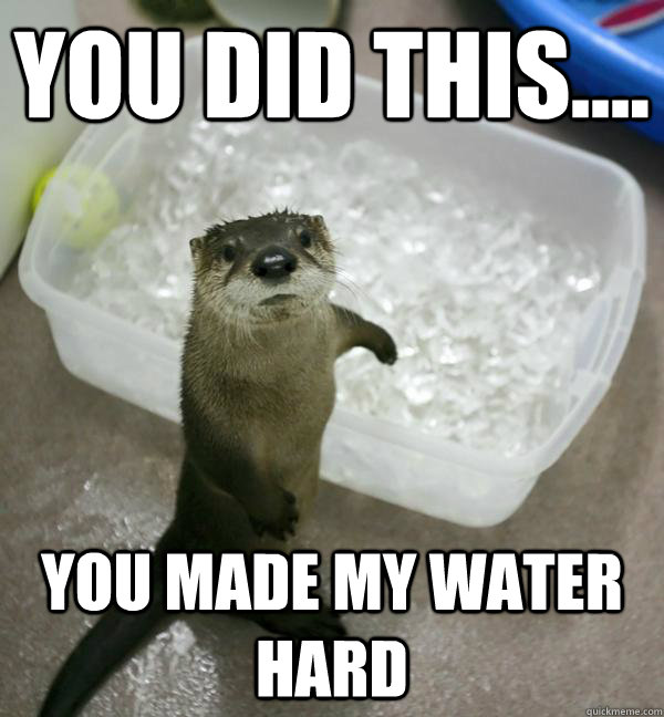 You did this.... you made my water hard - You did this.... you made my water hard  Gilt Inducing Otter