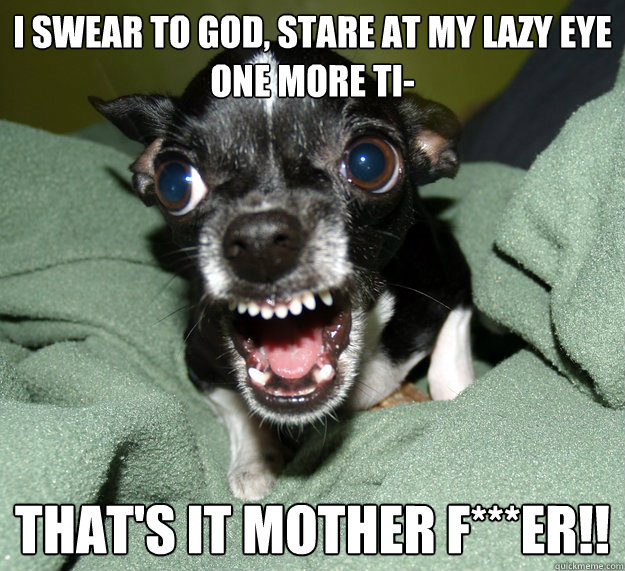 I swear to god, stare at my lazy eye one more ti-
 THAT'S IT MOTHER F***ER!!
  Chihuahua Logic