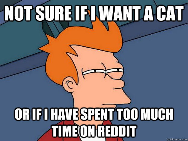 Not sure if I want a cat Or if i have spent too much time on reddit  