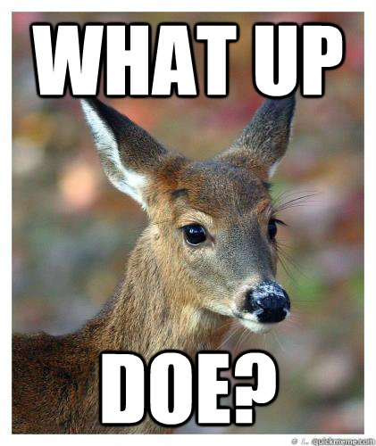 What Up Doe?  What up doe