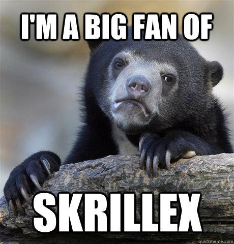 I'm a big fan of Skrillex  Confession Bear