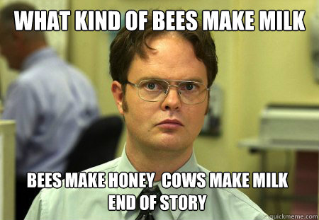 What kind of bees make milk Bees make honey  cows make milk     end of story  Dwight