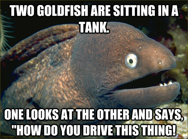 Two goldfish are sitting in a tank.  One looks at the other and says, 