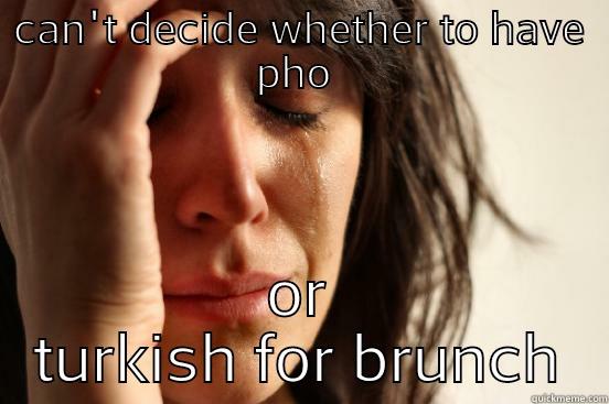CAN'T DECIDE WHETHER TO HAVE PHO  OR TURKISH FOR BRUNCH First World Problems