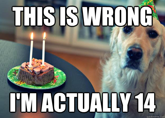 this is wrong i'm actually 14 - this is wrong i'm actually 14  Sad Birthday Dog