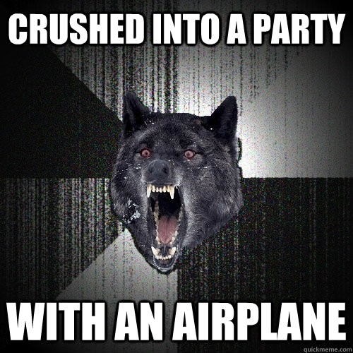 Crushed into a party With an airplane - Crushed into a party With an airplane  Insanity Wolf