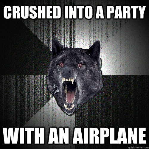 Crushed into a party With an airplane  Insanity Wolf