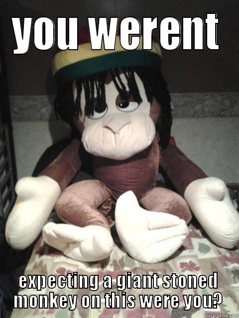 YOU WERENT EXPECTING A GIANT STONED MONKEY ON THIS WERE YOU? Misc