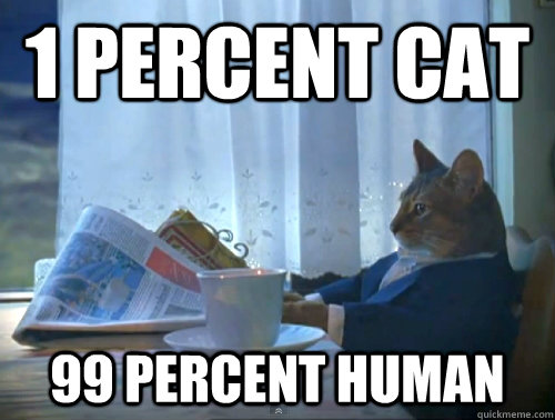 1 percent cat 99 percent human  The One Percent Cat