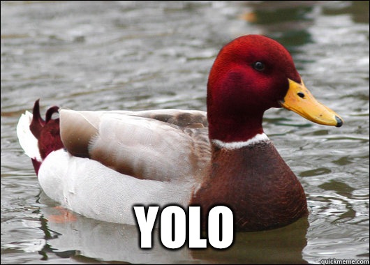  YOLO  Malicious Advice Mallard