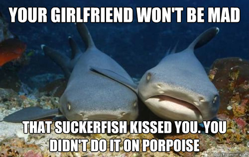 your girlfriend won't be mad that suckerfish kissed you. you didn't do it on porpoise  Compassionate Shark Friend