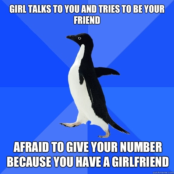 Girl talks to you and tries to be your friend Afraid to give your number because you have a girlfriend  Socially Awkward Penguin