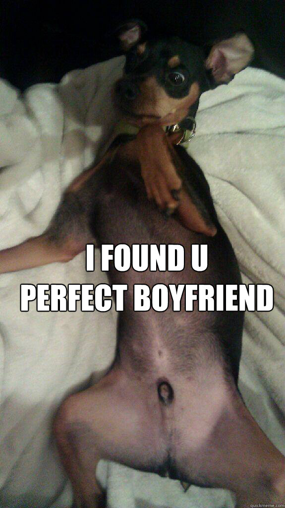 I found u
perfect boyfriend   