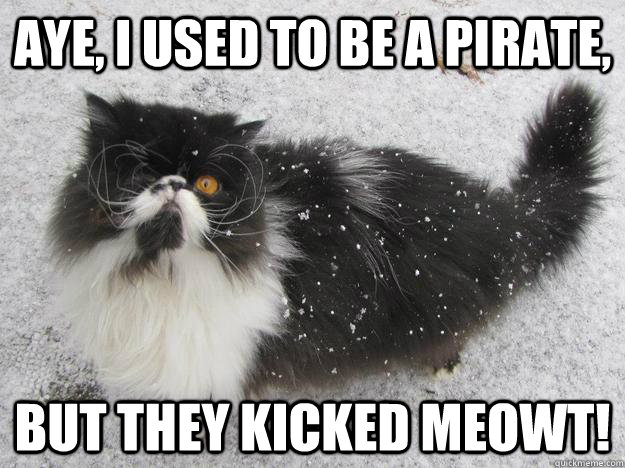 Aye, I used to be a pirate, but they kicked meowt! - Aye, I used to be a pirate, but they kicked meowt!  Misc