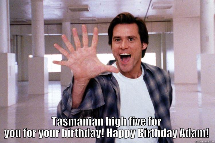  TASMANIAN HIGH FIVE FOR YOU FOR YOUR BIRTHDAY! HAPPY BIRTHDAY ADAM! Misc