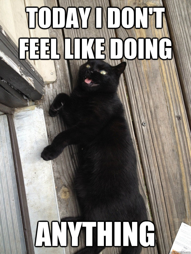 today i don't feel like doing anything  Lazy cat