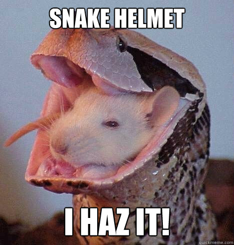 Snake Helmet I haz it!  
