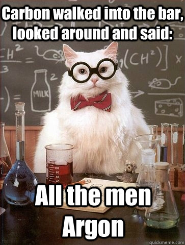 Carbon walked into the bar, looked around and said: All the men Argon  Chemistry Cat