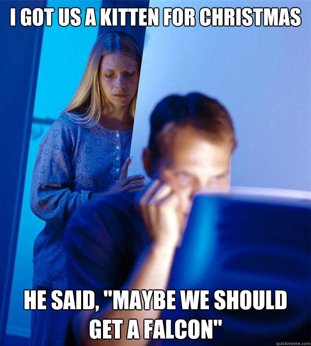 I got us a kitten for Christmas he said, 