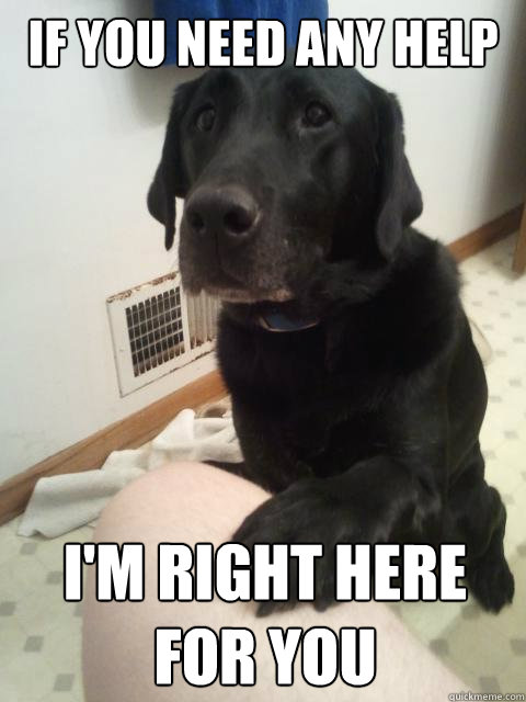 If you need any help I'm Right here for you - If you need any help I'm Right here for you  Mans Best Friend