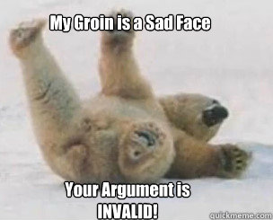 My Groin is a Sad Face Your Argument is INVALID! - My Groin is a Sad Face Your Argument is INVALID!  Sad Face