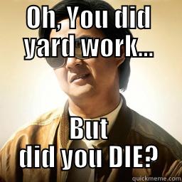 yard work - OH, YOU DID YARD WORK... BUT DID YOU DIE? Mr Chow