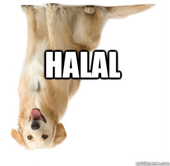 Halal - Halal  Halal Dog